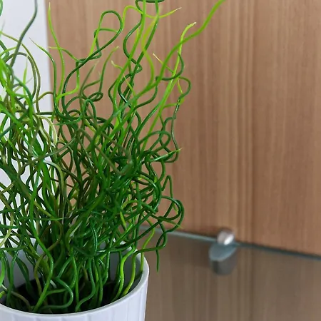 Belfort - Localisation Exceptionnelle 2 Avec Ascenseur Et Parking 公寓 波尔多